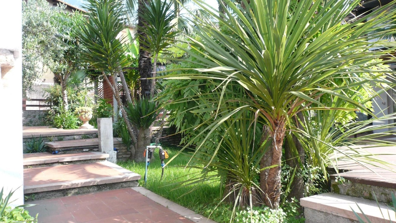 Photo of Outdoor in Toscolano Maderno