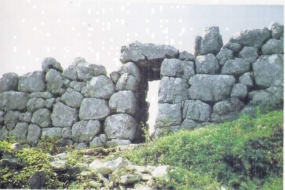 Photo of Others in Bomba