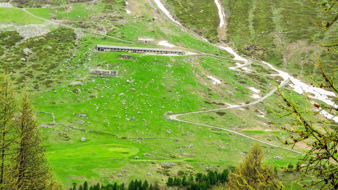 Photo of Others in Cervinia
