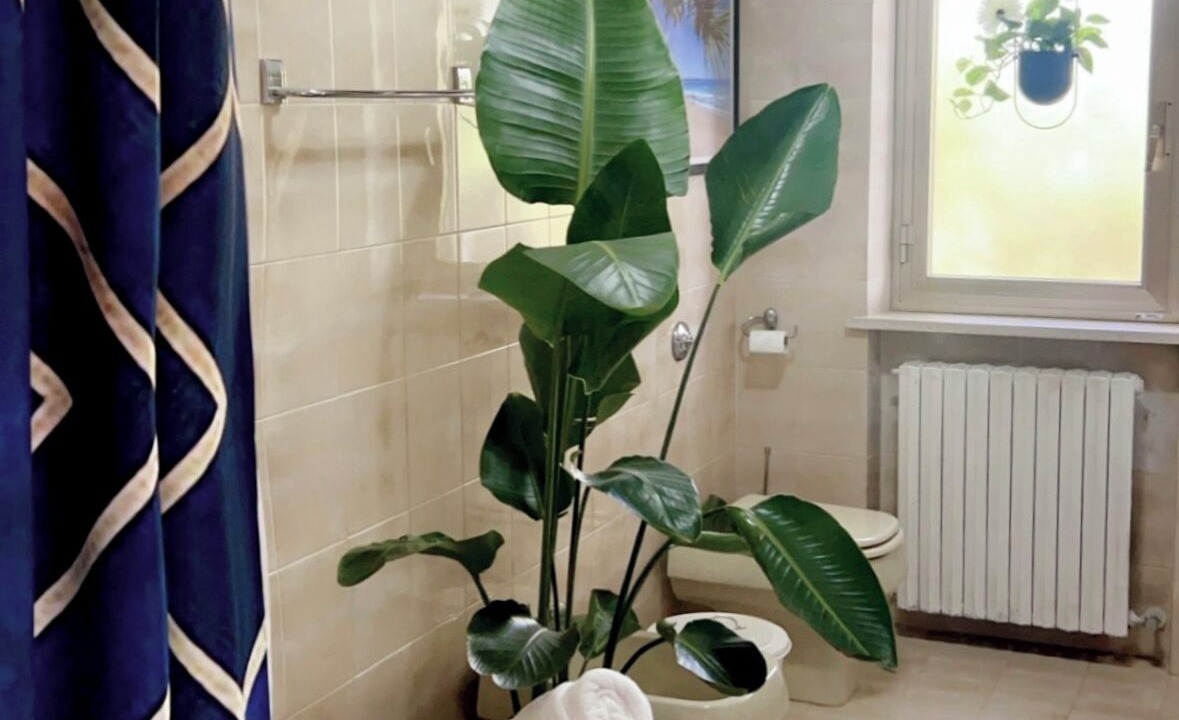 Photo of Bathroom in Giuliano Teatino