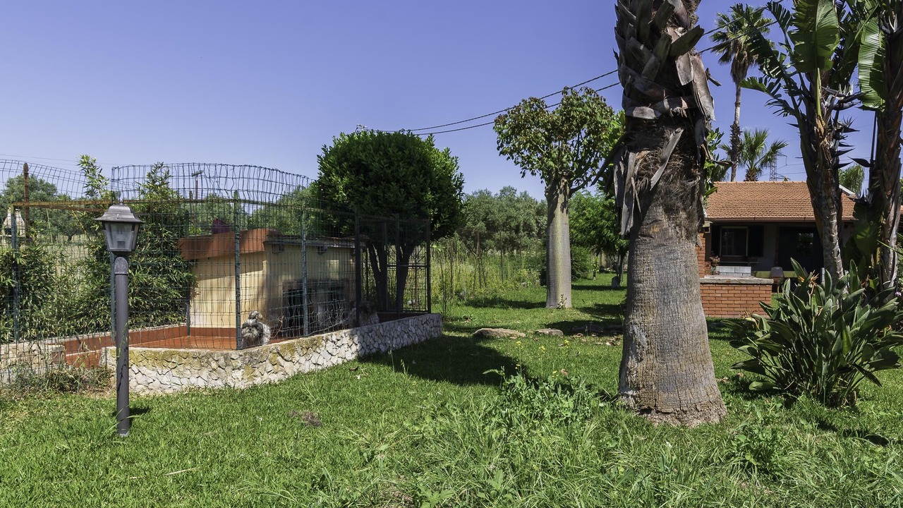 Photo of Outdoor in Melilli