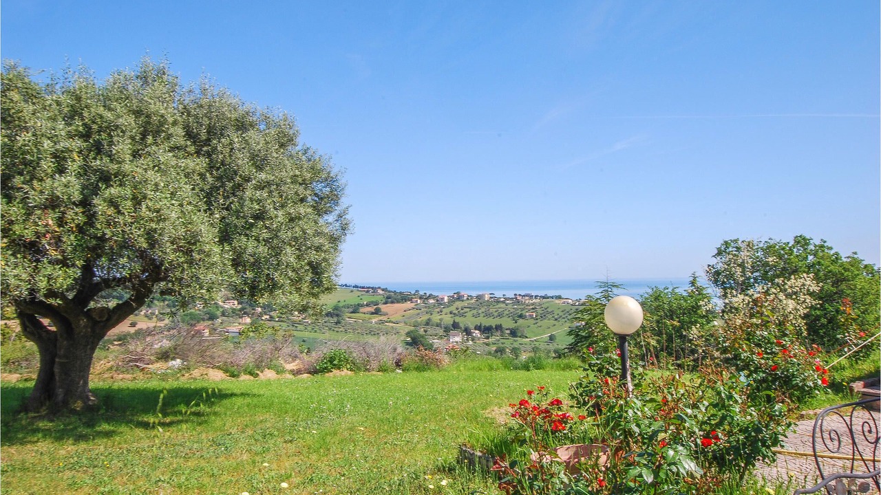 Photo of Outdoor in Civitanova Alta