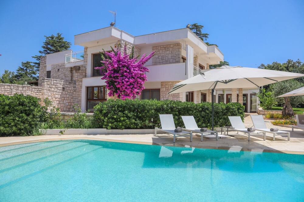 Photo of Outdoor in Alcanterini