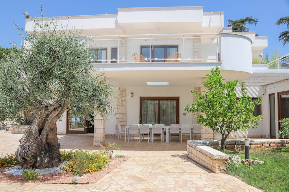 Photo of Outdoor in Alcanterini