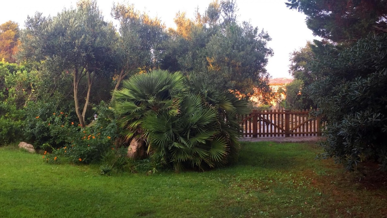 Photo of Others in Villaggio Piras