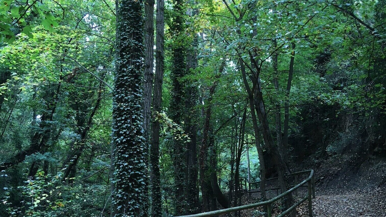 Photo of Outdoor in Trago