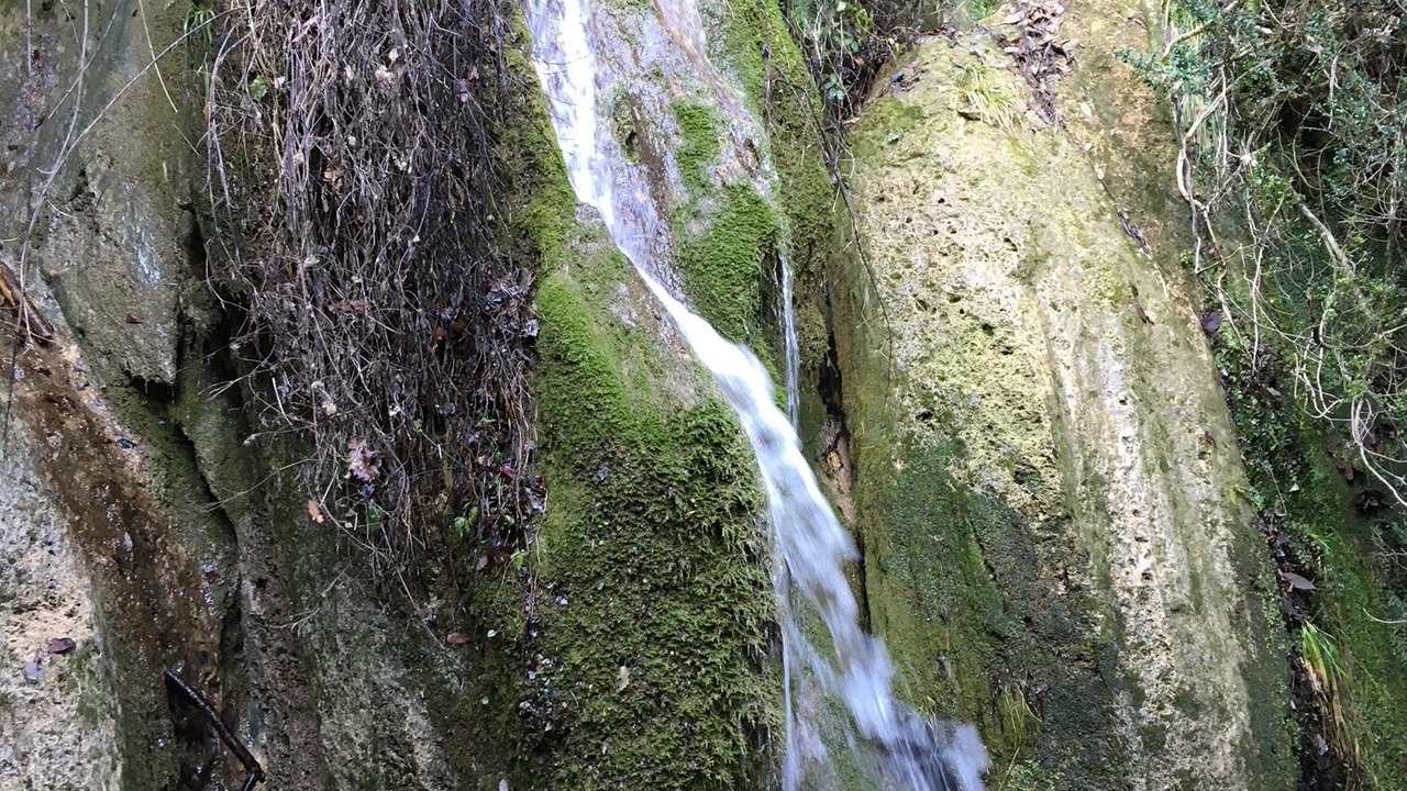 Photo of Outdoor in Trago