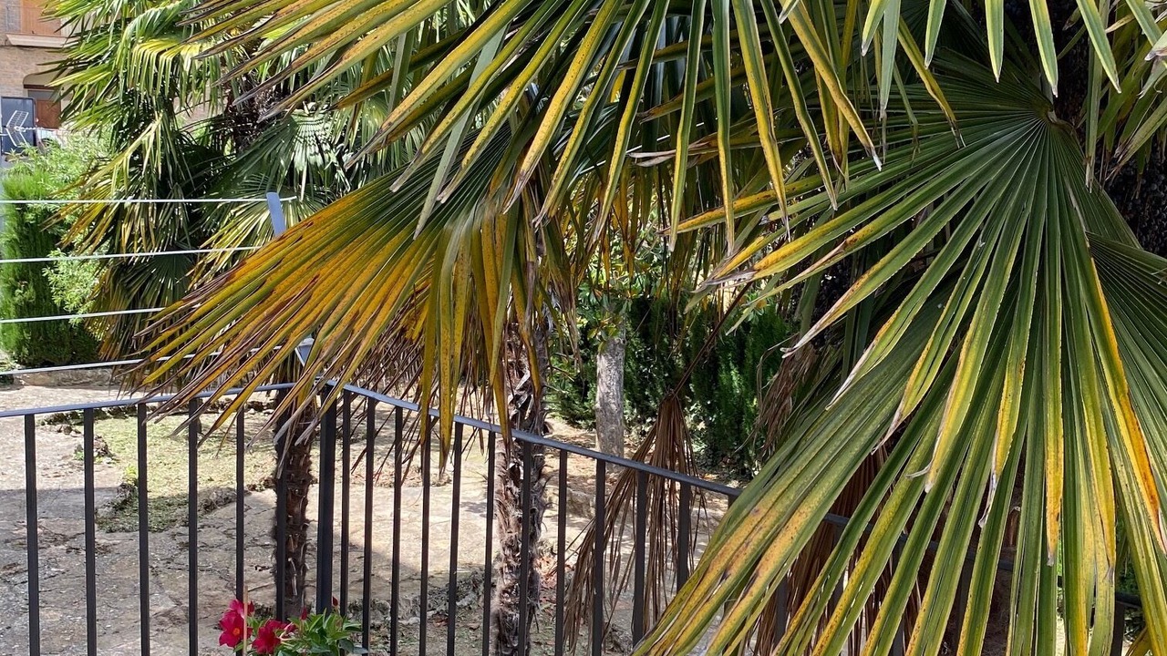 Photo of Outdoor in Trago