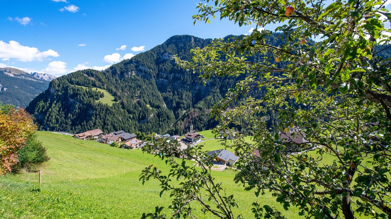 Photo of Outdoor in Bulla
