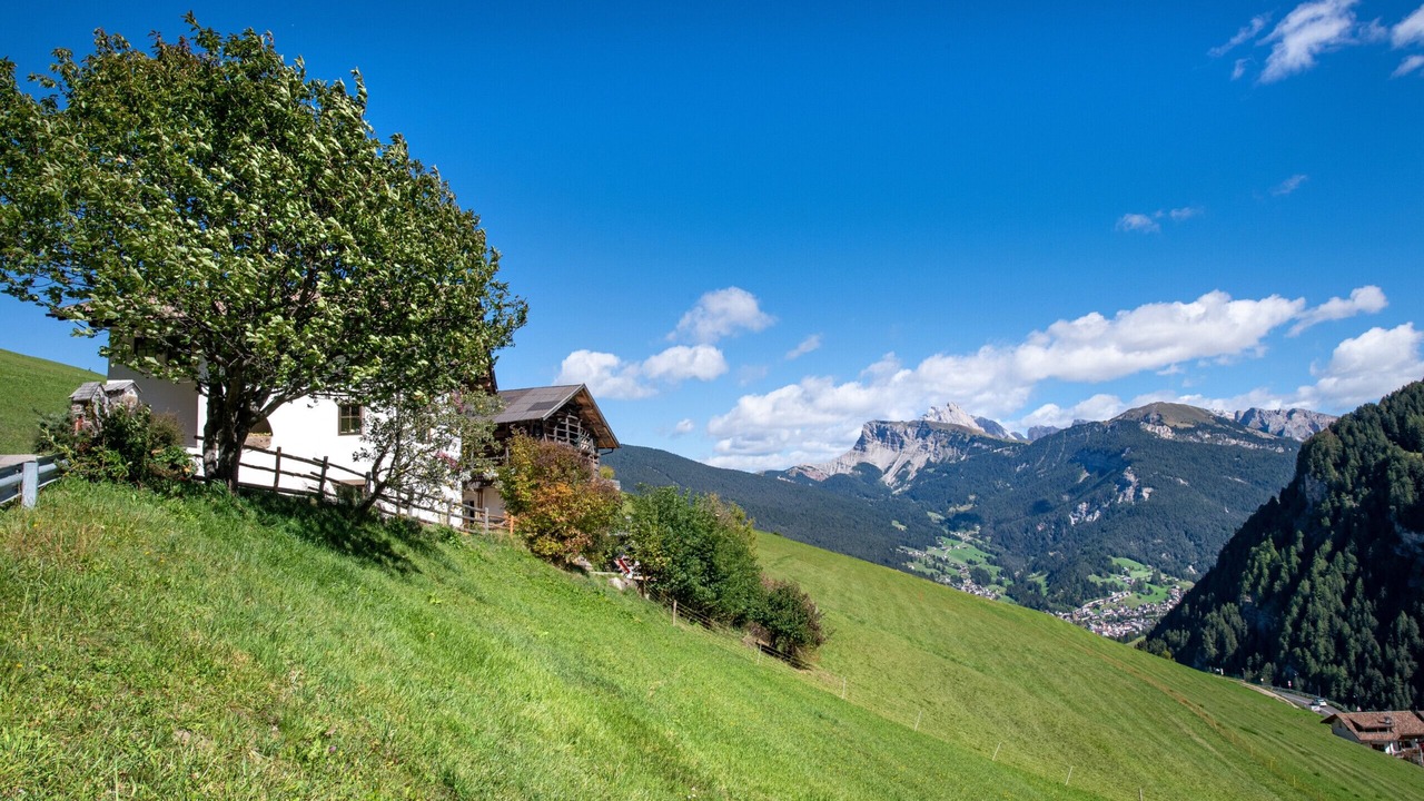 Photo of Outdoor in Bulla