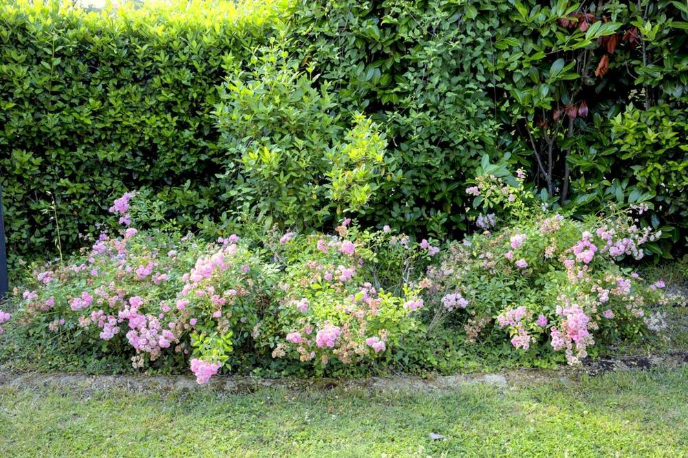 Photo of Outdoor in Montebello di Mezzo