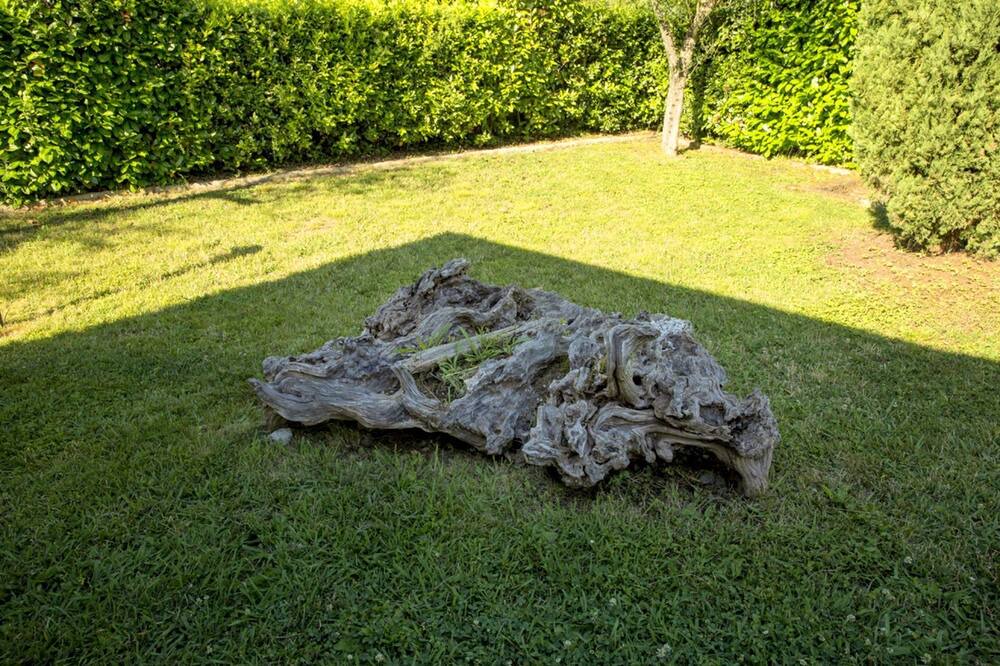 Photo of Outdoor in Montebello di Mezzo