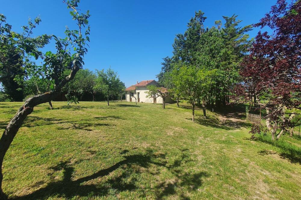 Photo of Outdoor in Baschi