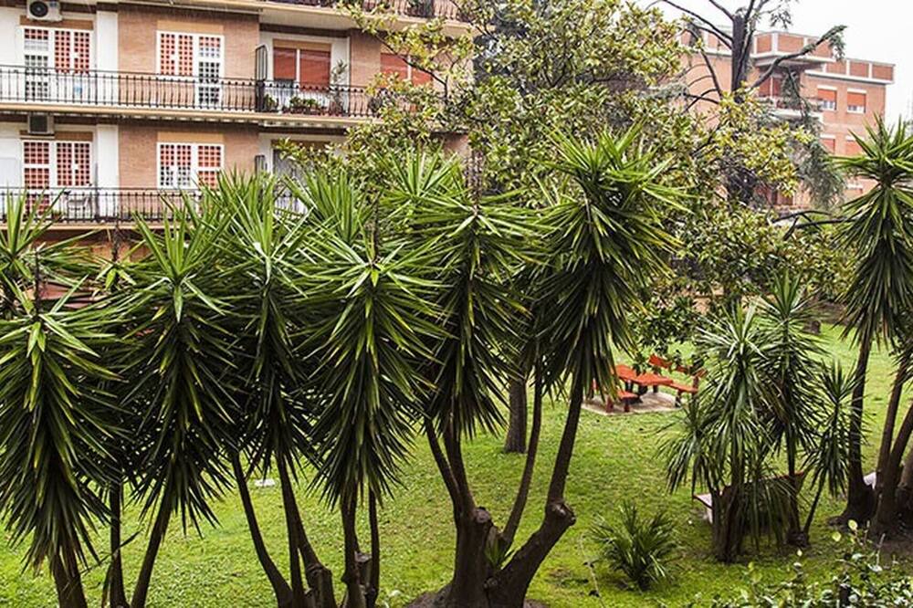 Photo of Patio Balcony in Zona XIX Casal Morena