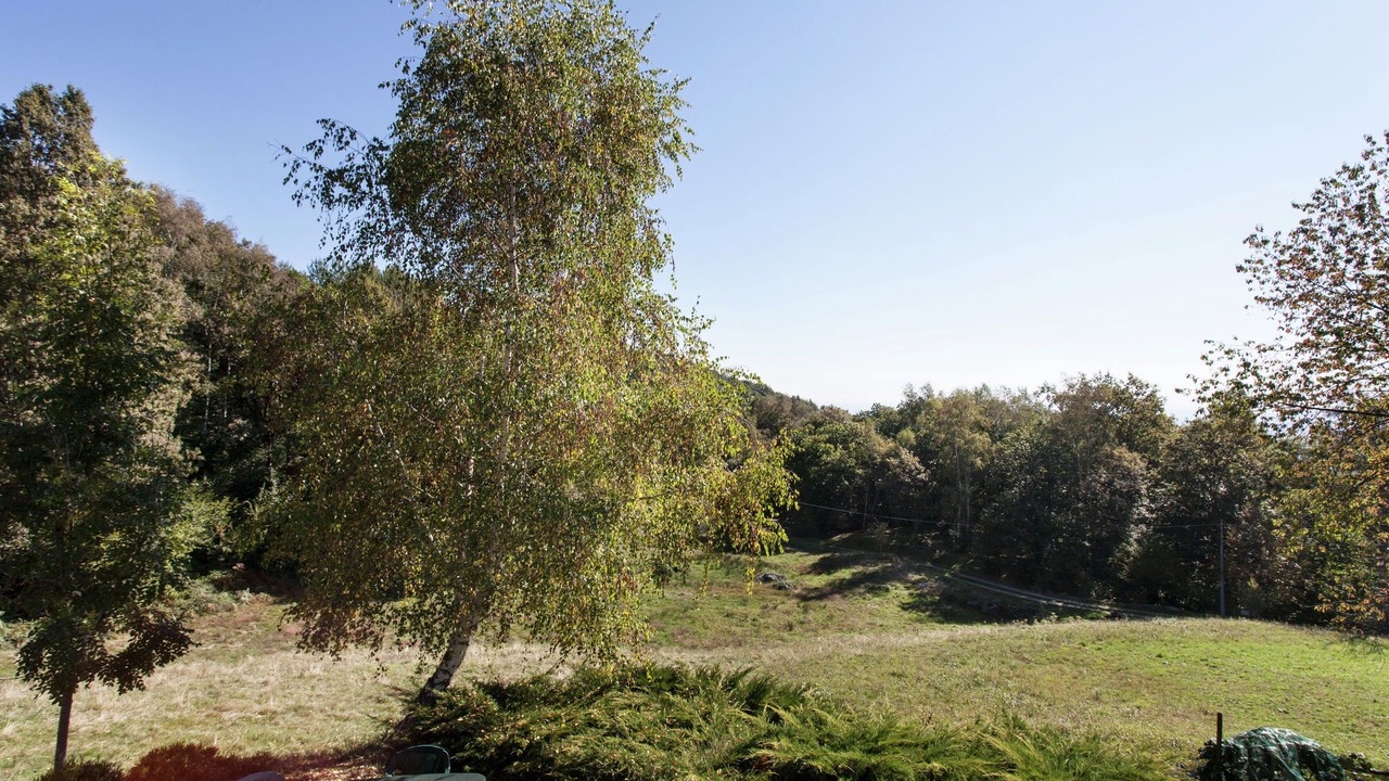 Photo of Outdoor in Netro