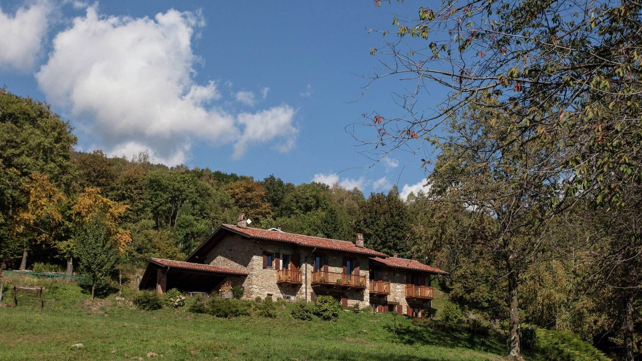 Photo of Outdoor in Netro