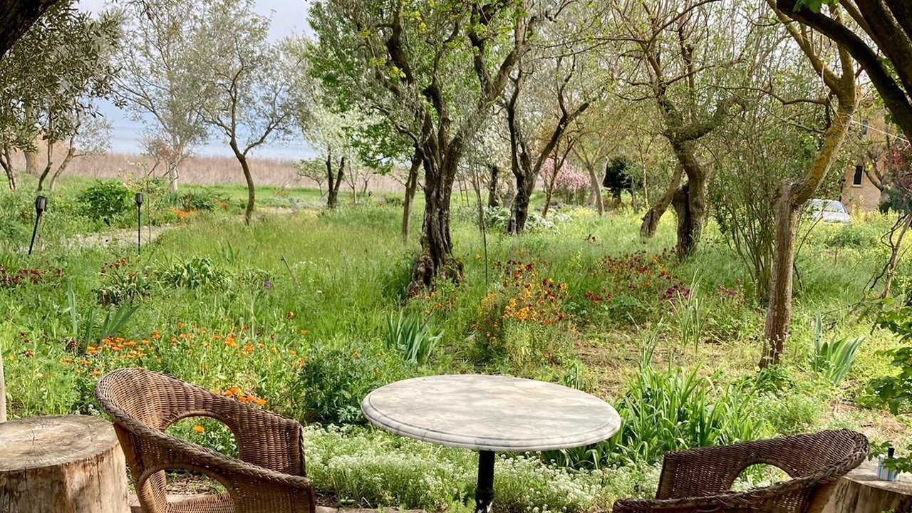 Photo of Outdoor in Orhangazi