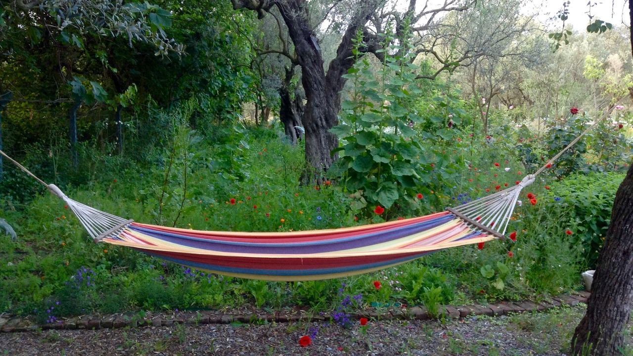 Photo of Outdoor in Orhangazi