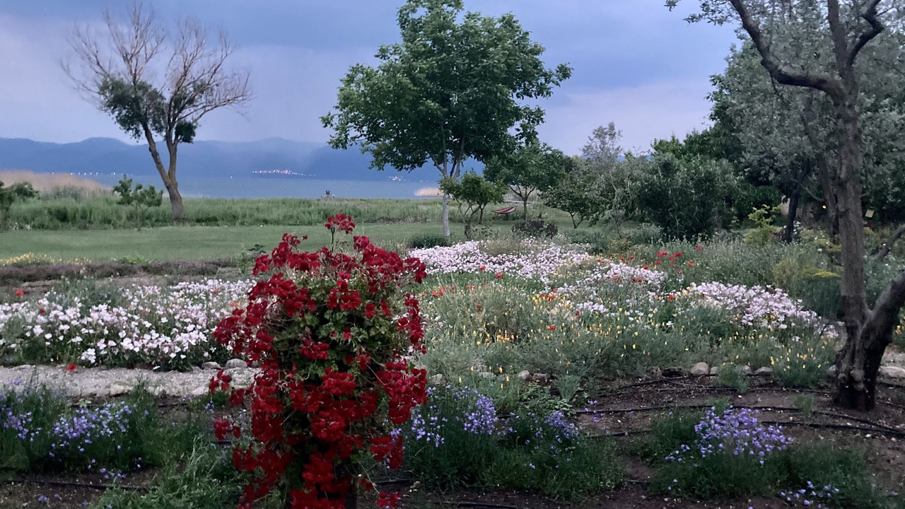 Photo of Outdoor in Orhangazi