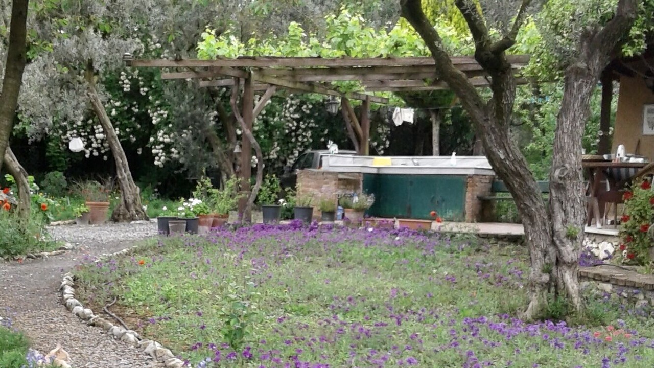 Photo of Outdoor in Orhangazi