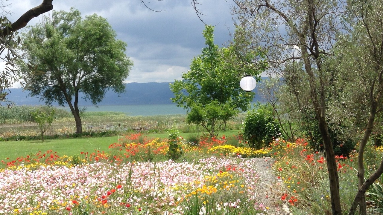 Photo of Outdoor in Orhangazi