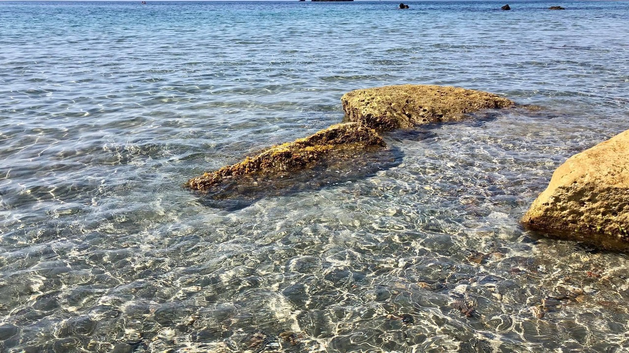 Photo of Others in Puerto de Mazarron