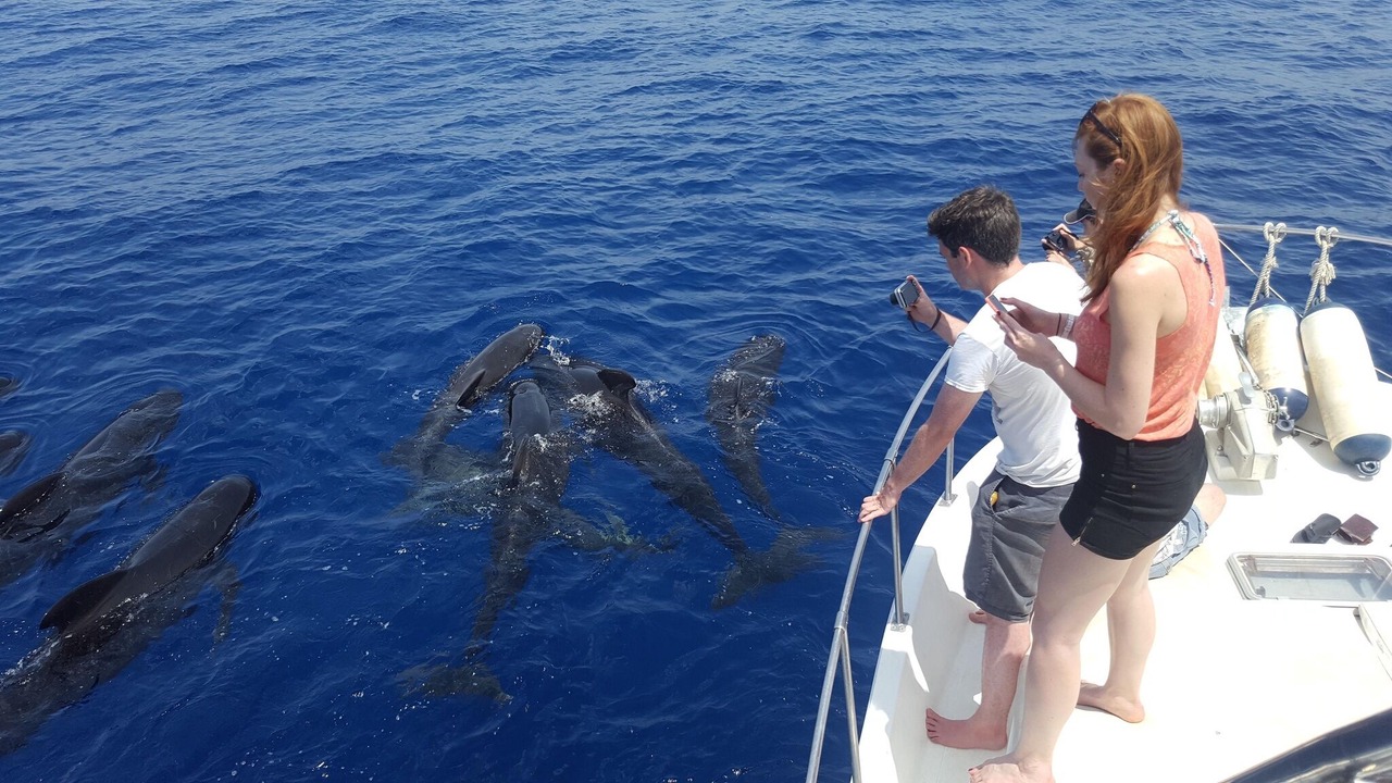 Photo of Others in Puerto de Mazarron