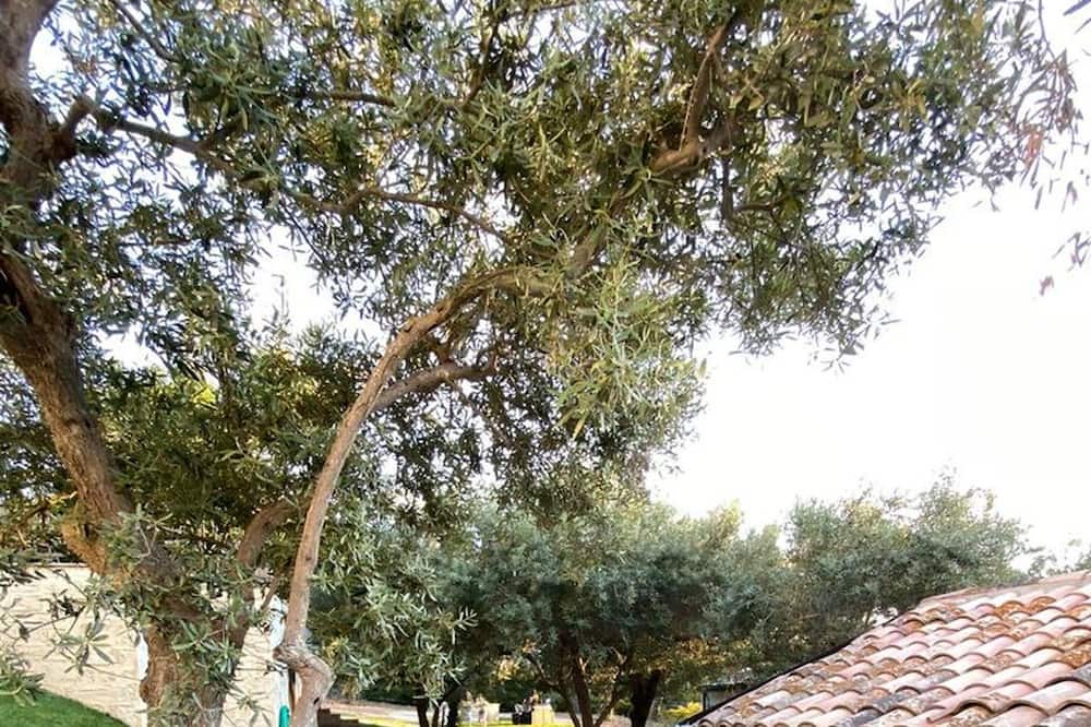 Photo of Outdoor in Bucchianico