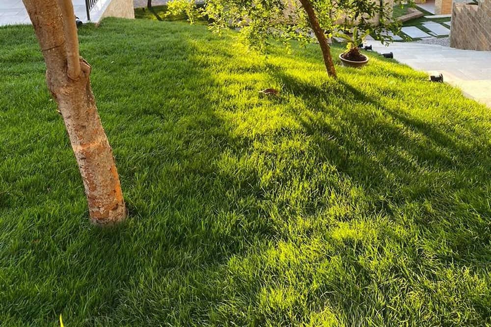 Photo of Outdoor in Bucchianico