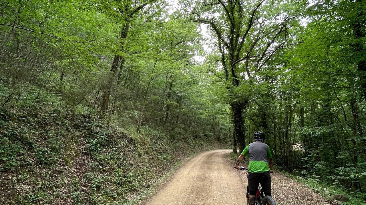 Photo of Outdoor in Piegaro