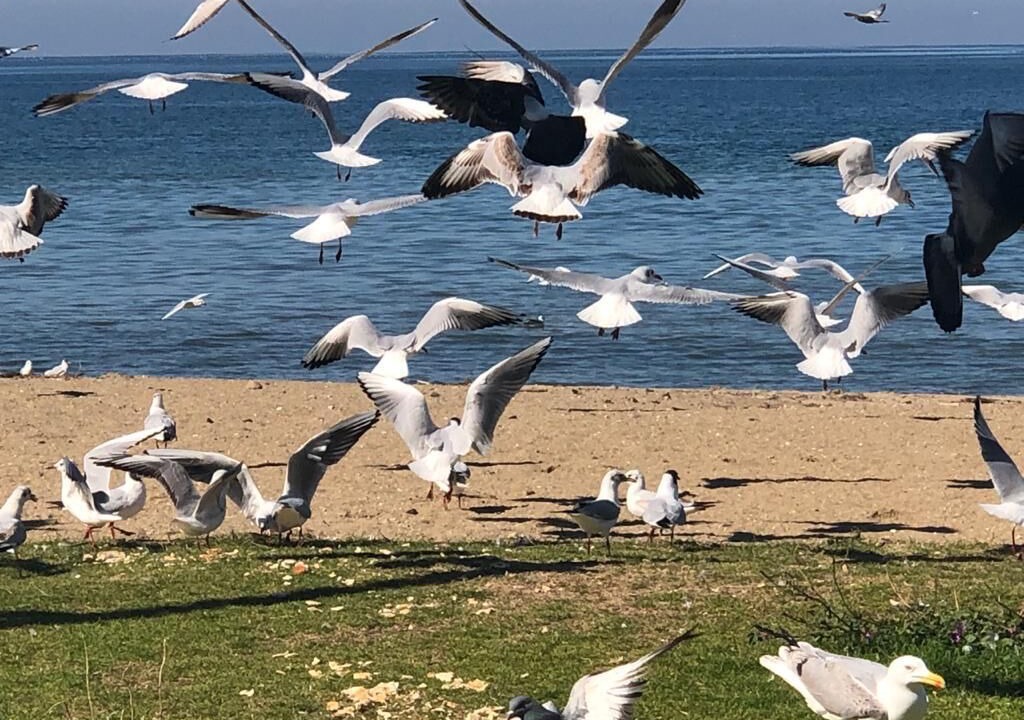 Photo of Outdoor in Ciftlikkoy