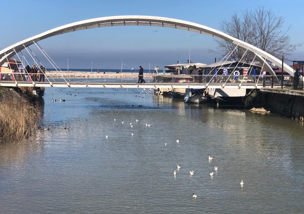 Photo of Others in Ciftlikkoy