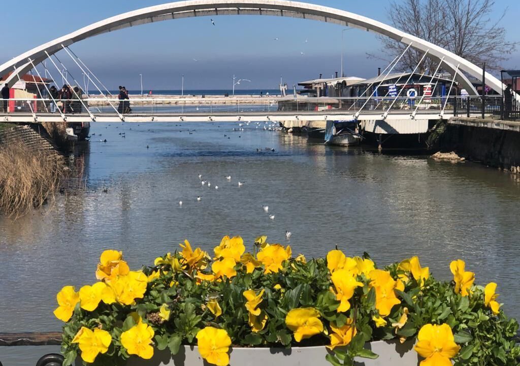 Photo of Others in Ciftlikkoy