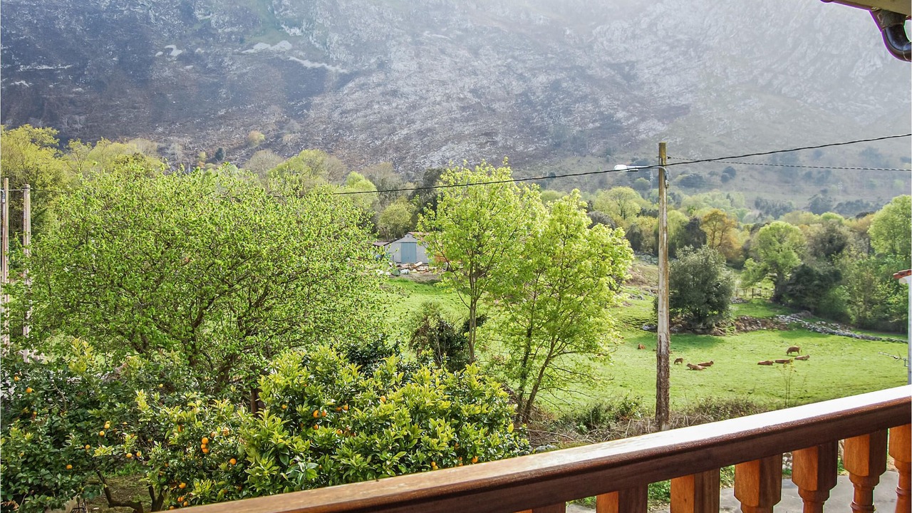 Photo of Outdoor in La Portilla