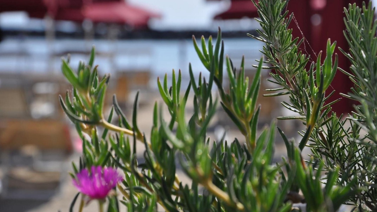 Photo of Outdoor in Lido di Savio