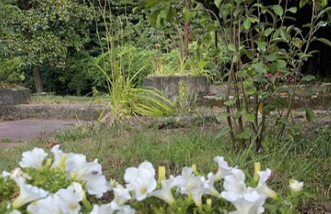 Photo of Outdoor in Beverino