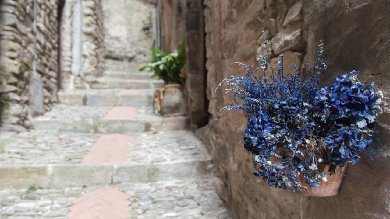 Photo of Outdoor in Dolceacqua
