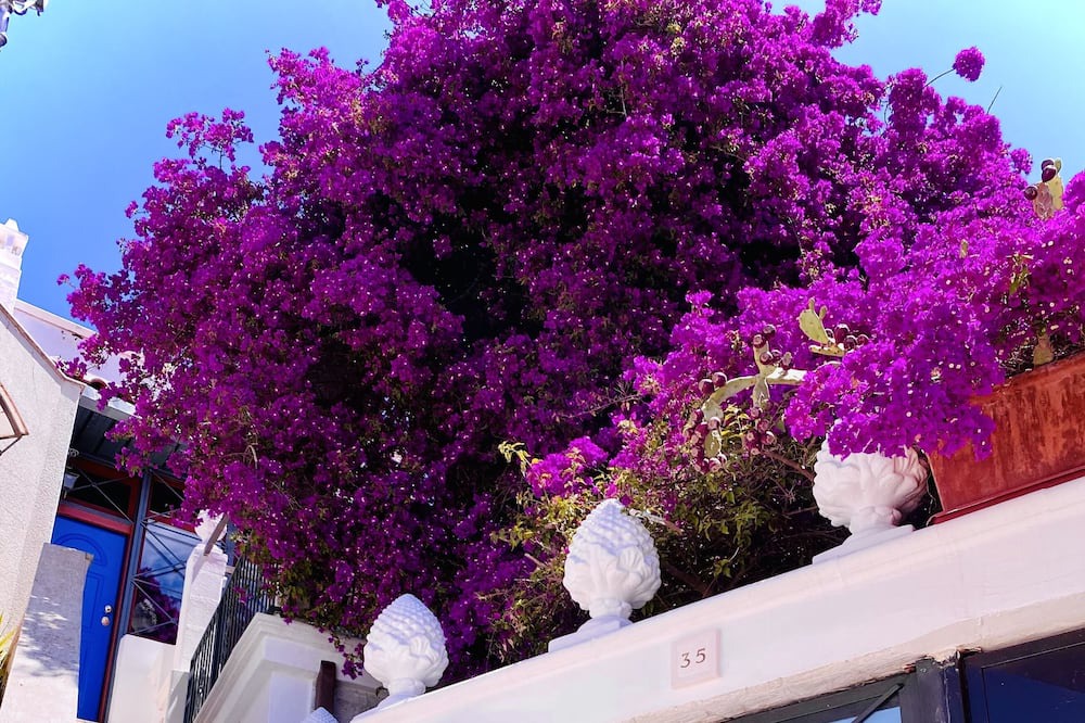 Photo of Outdoor in Centro Storico