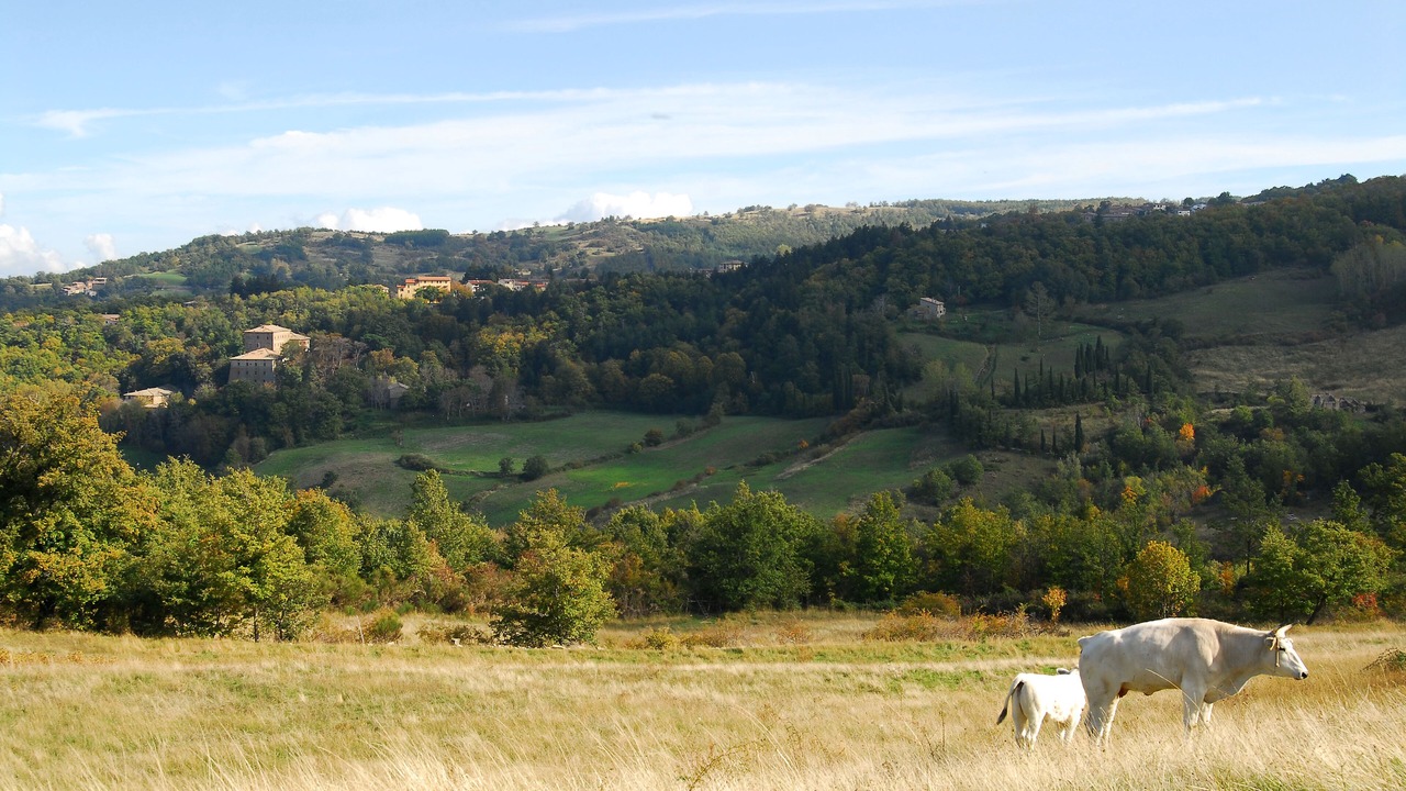 Photo of Outdoor in Vivo dʼOrcia