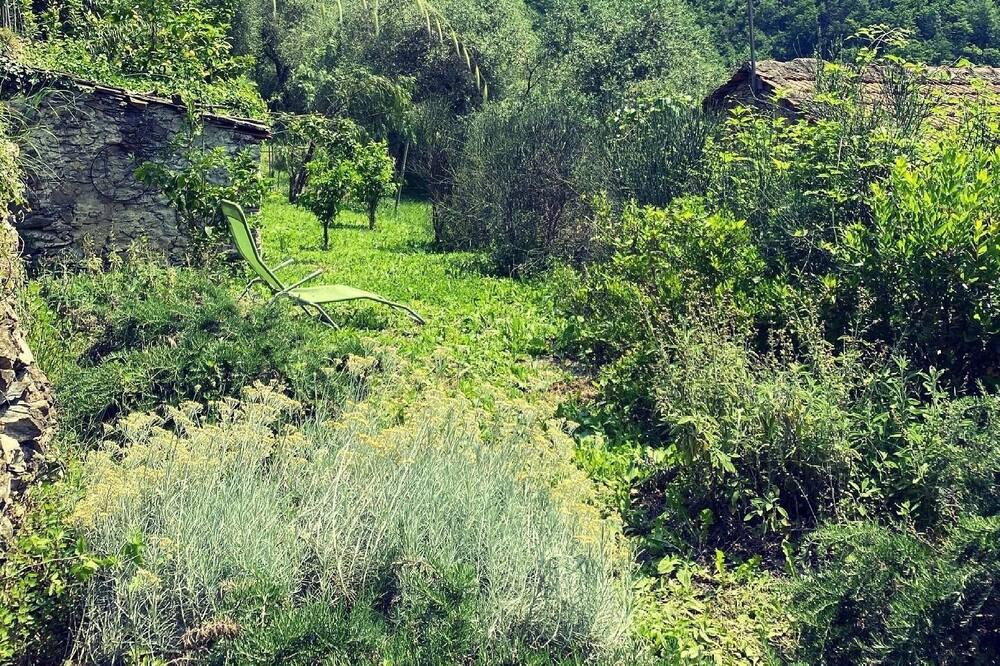 Photo of Others in Ubaghetta Costa