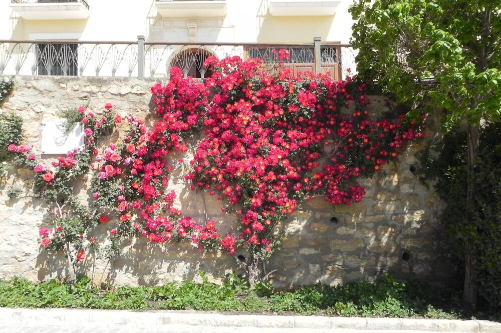 Photo of Others in Alhama de Granada