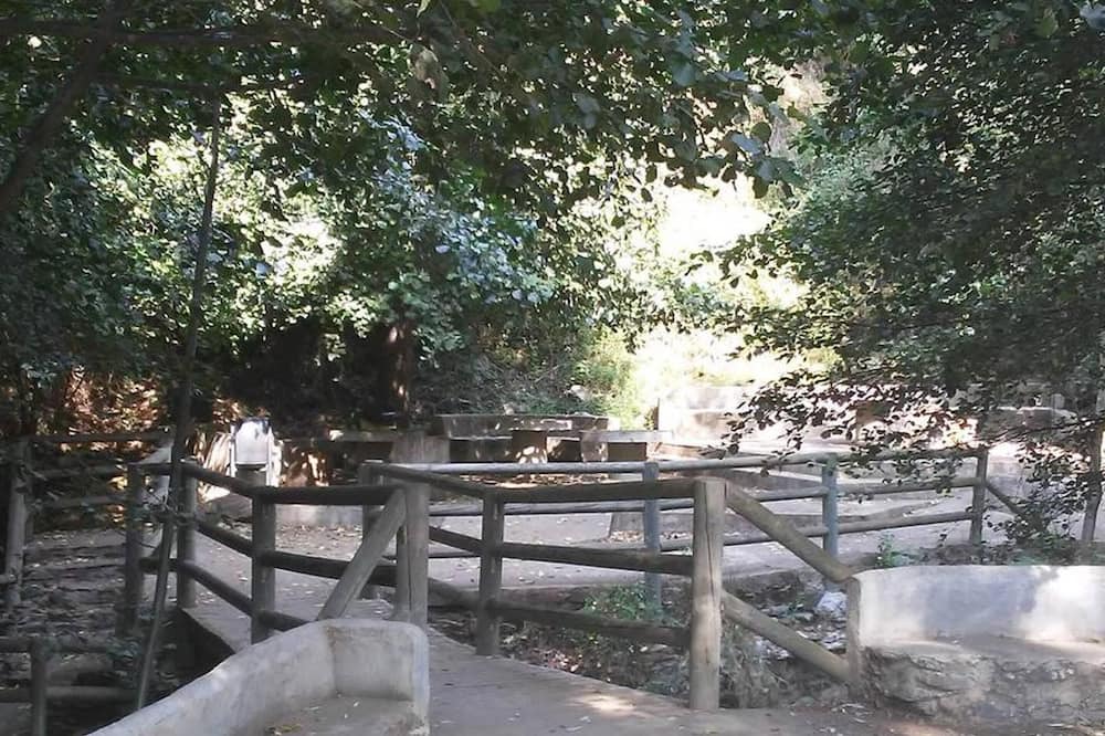 Photo of Others in Cadiar