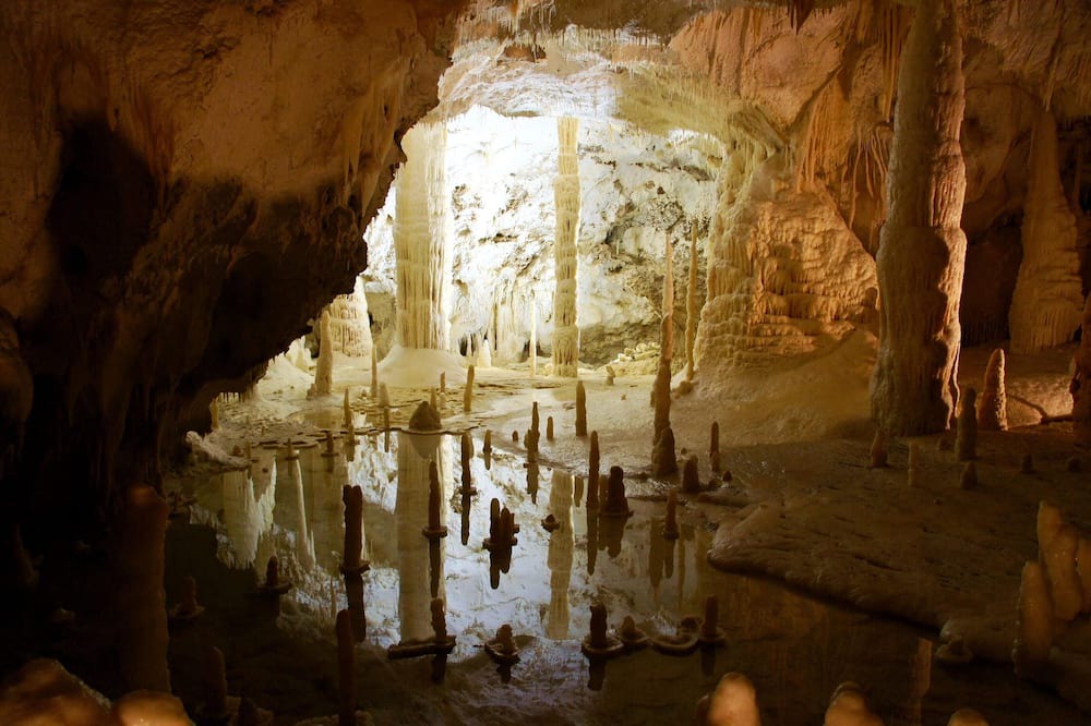 Photo of Others in Montelabbate