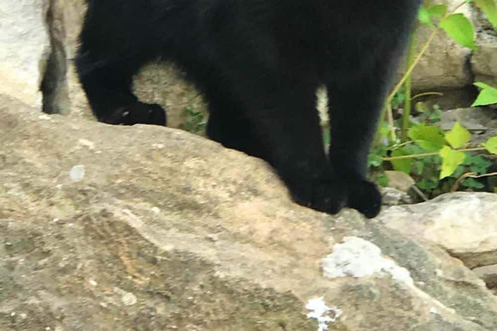 Photo of Outdoor in Montenero di Bisaccia