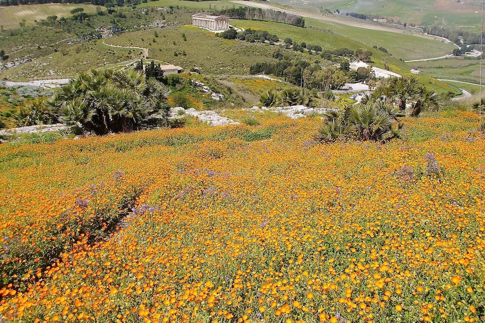 Photo of Outdoor in Comiso