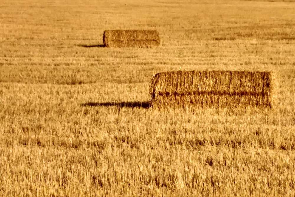 Photo of Outdoor in Cillamayor