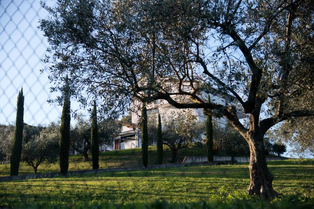 Photo of Outdoor in Caiazzo