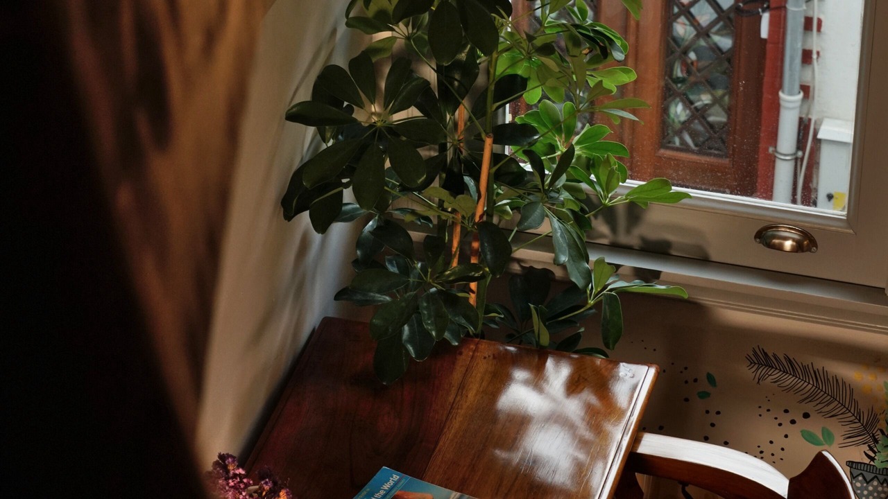 Photo of Livingroom in Rasimpasa