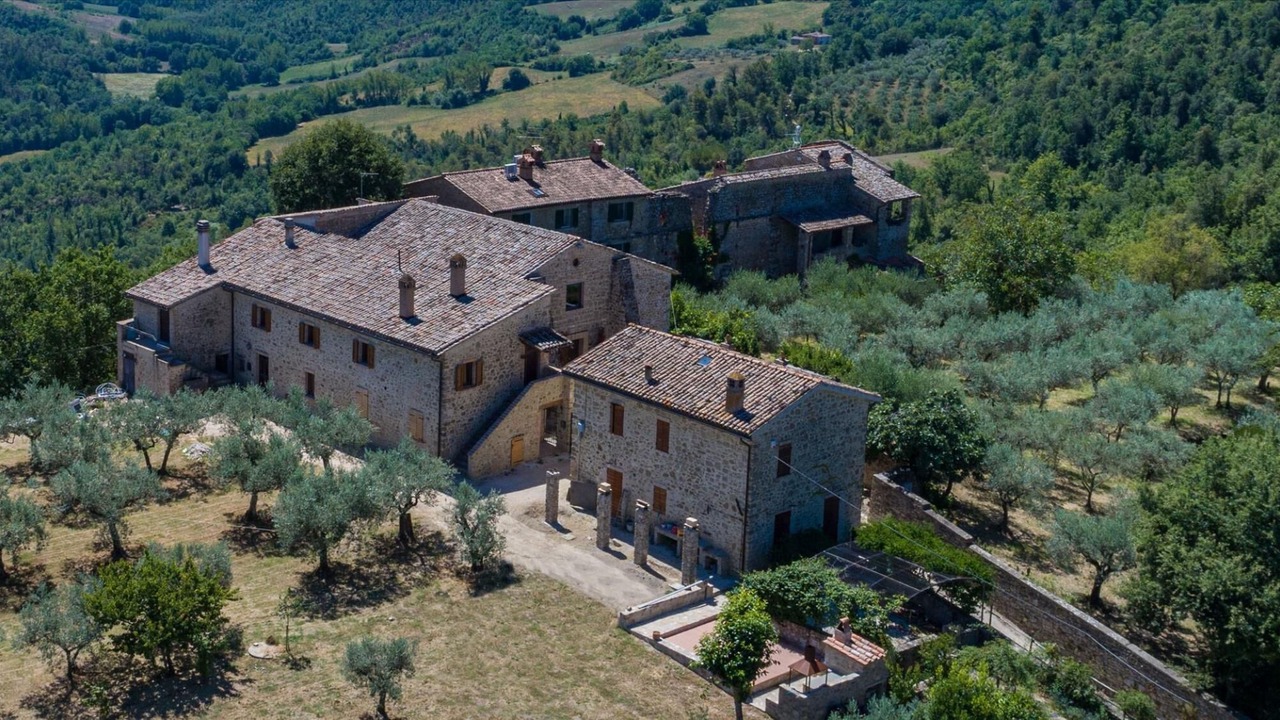 Photo of Others in Collazzone