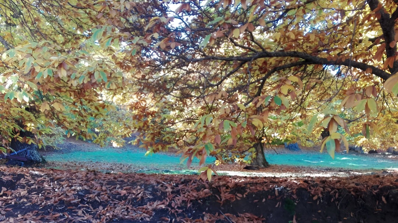 Photo of Outdoor in Pujerra